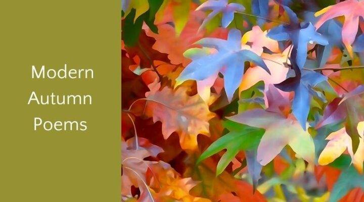 Poemas de otoño para niños y familias.