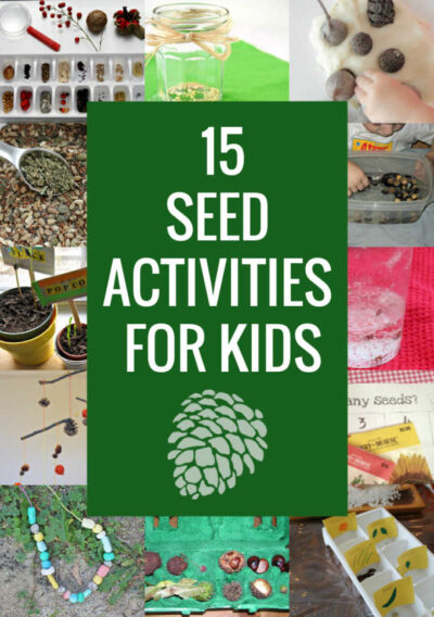 Actividades de recolección de semillas y aprendizaje de la naturaleza para niños.