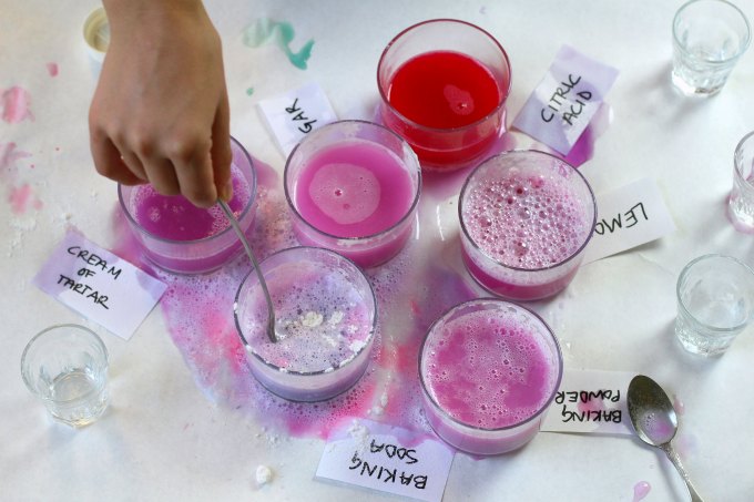 El experimento científico con colorido jugo de col