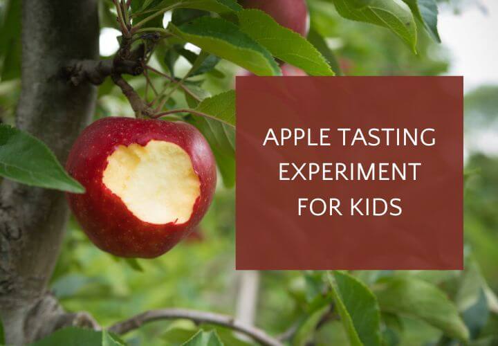 La actividad de prueba de sabor de manzana más deliciosa para niños.